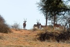 75DF6916_namibie2007.jpg