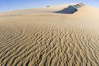 75DF6126_woestijn.jpg