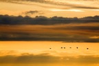 IMG_9817_vogels-sunset.jpg